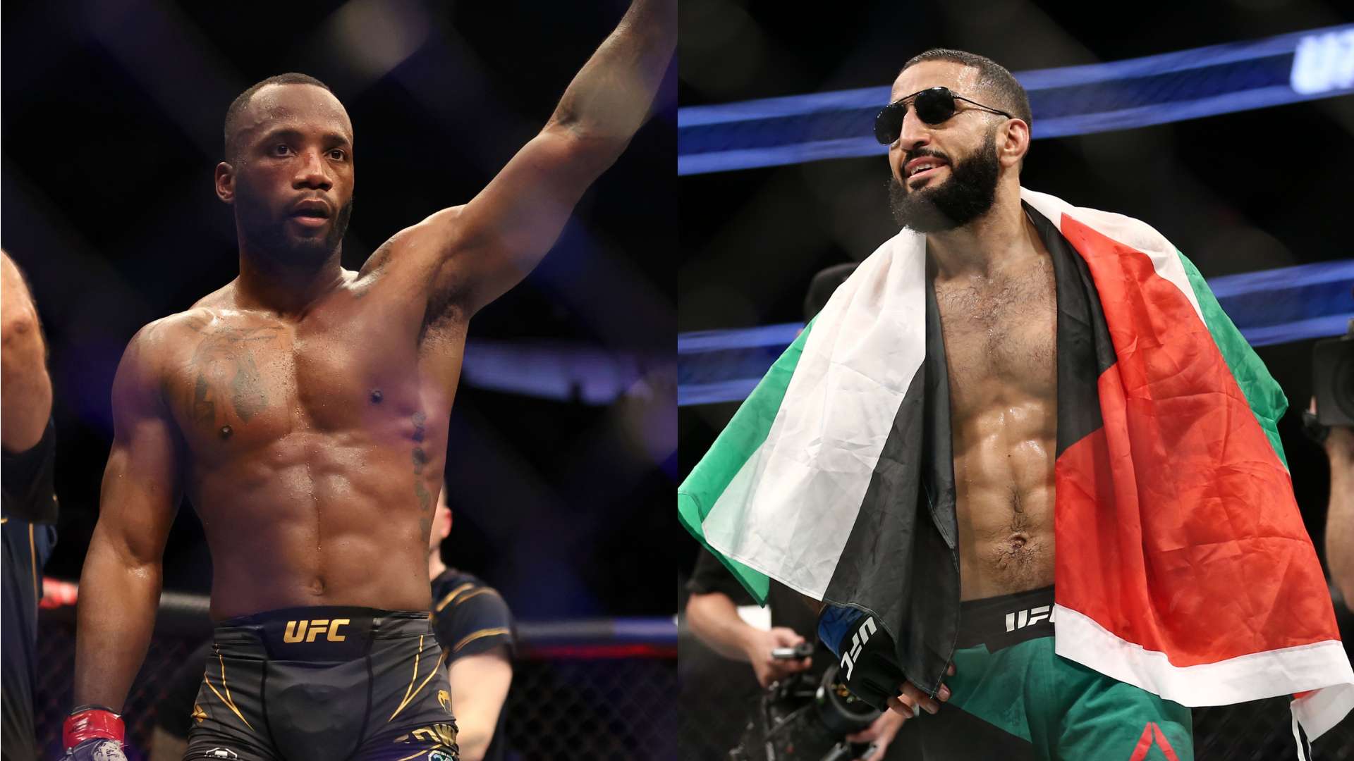 新加入的球 新加入的球